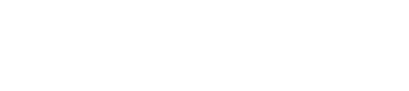 Action Trucks